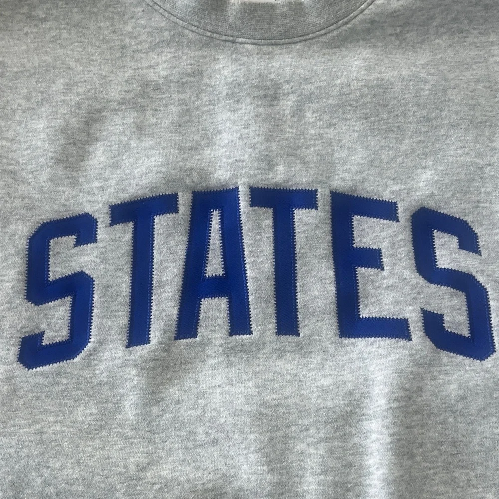 Men’s XXL Nike Gray Crewneck Sweatshirt with Blue STATES Graphic - Picture 3 of 12